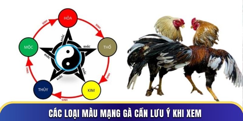 Các loại màu mạng gà cần lưu ý khi xem