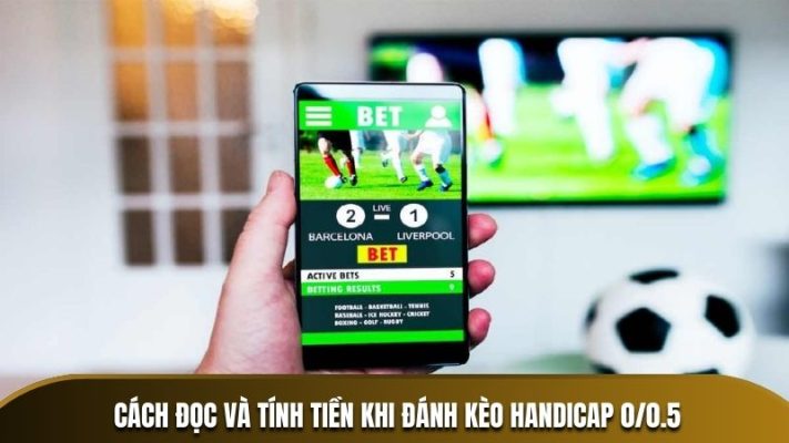 Cách đọc và tính tiền khi đánh kèo Handicap 0/0.5