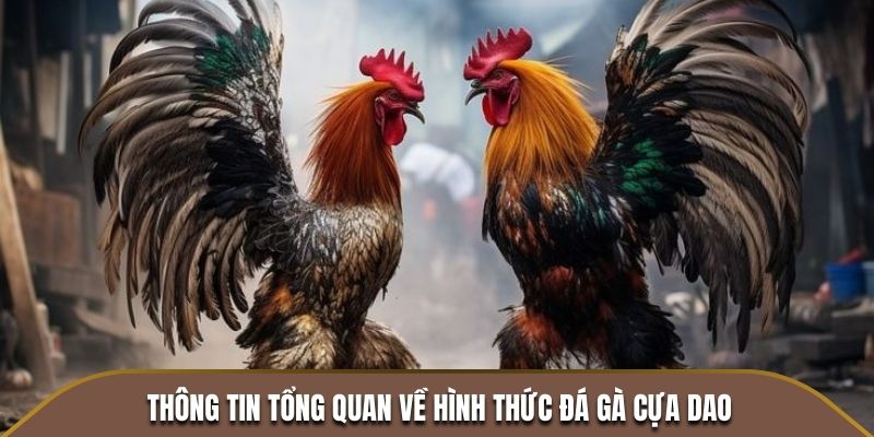 Thông tin tổng quan về hình thức đá gà cựa dao