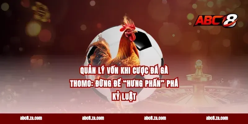 Quản lý vốn khi cược đá gà Thomo: đừng để “hưng phấn” phá kỷ luật