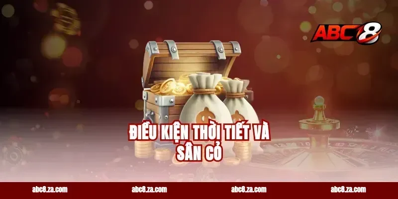 Điều Kiện Thời Tiết Và Sân Cỏ